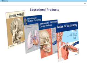 Thieme(2).png